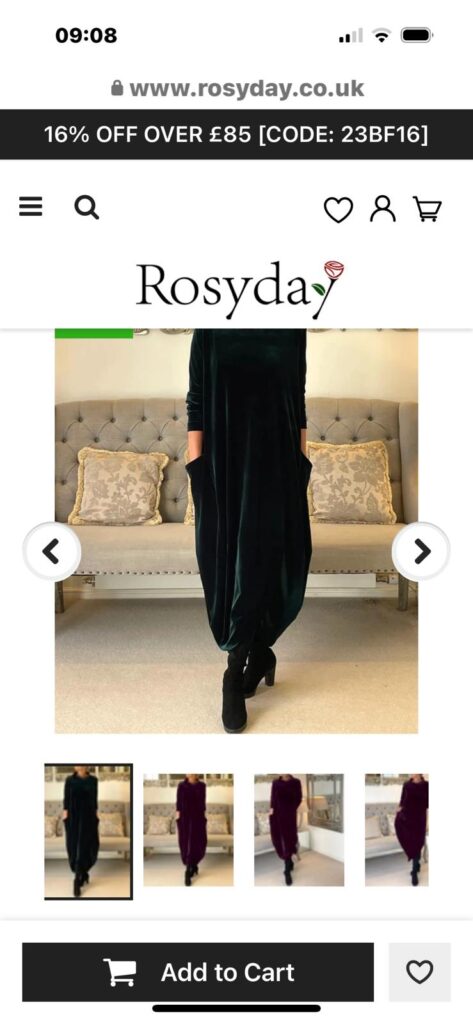 Scam stolen dress