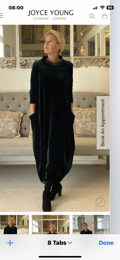 Original velevt Joyce Young dress